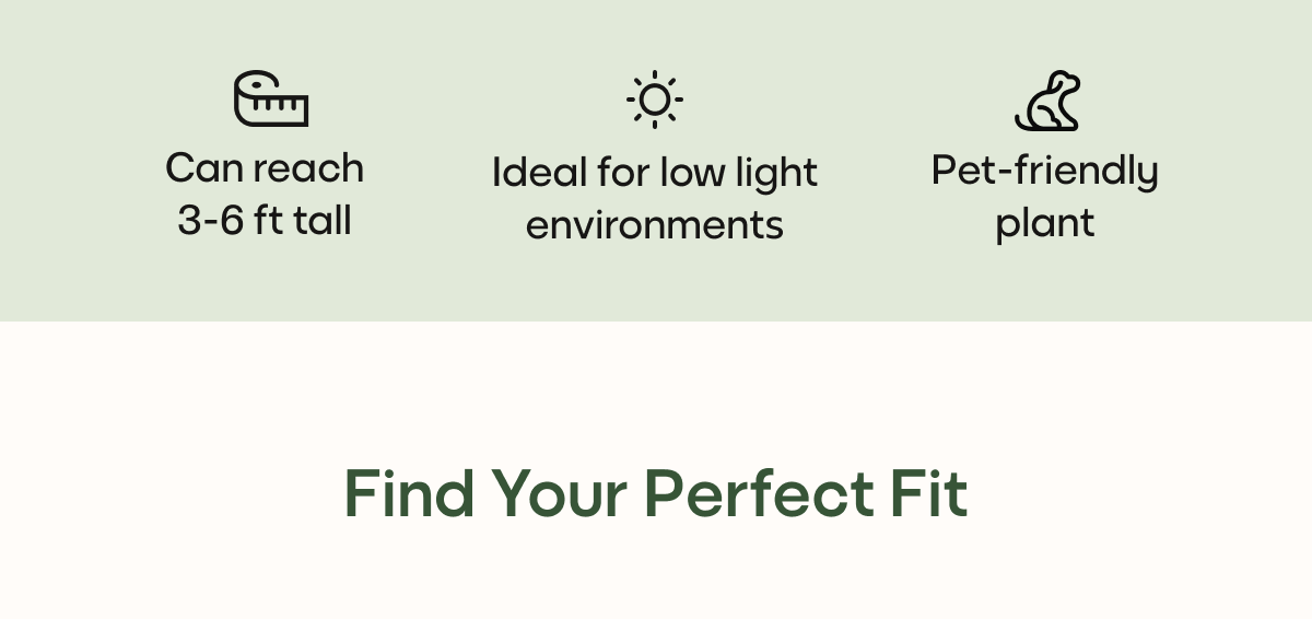 Find Your Perfect Fit