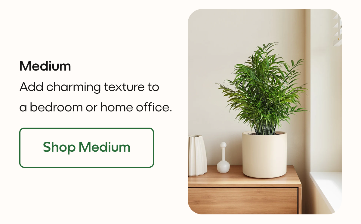 Medium