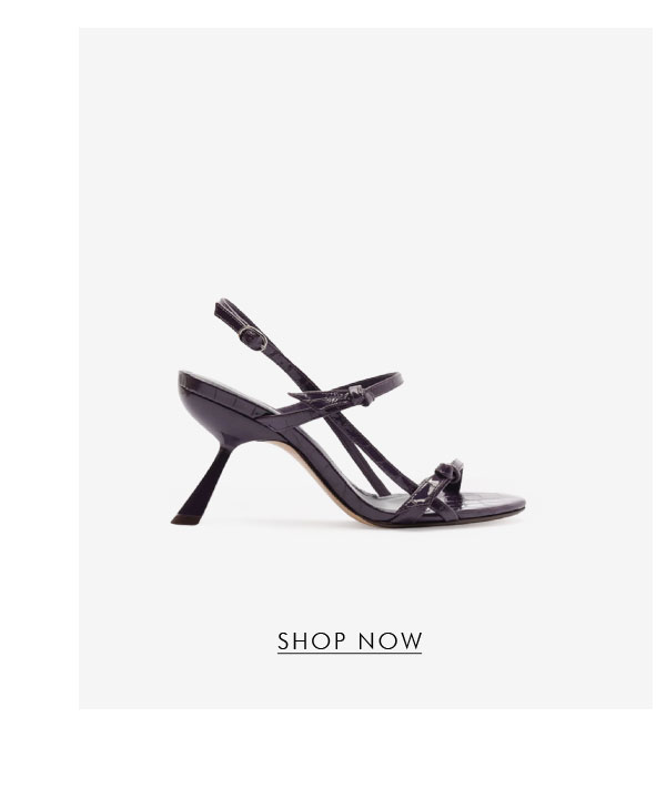 SHINNY SHAPES | SHOP NOW