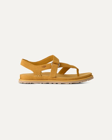 Women's GoldenGaze Toe Post Sandal