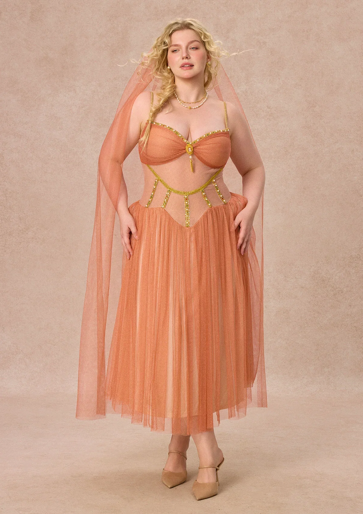 Image of Curve&Plus Sahara Rose Corset Dress
