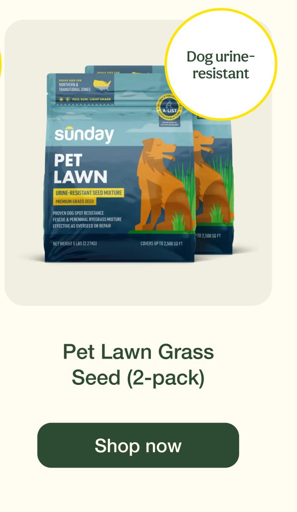 Pet Lawn Grass Seed (2-pack) | Shop now