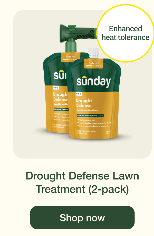 Drought Defense Lawn Treatment (2-pack) | Shop now