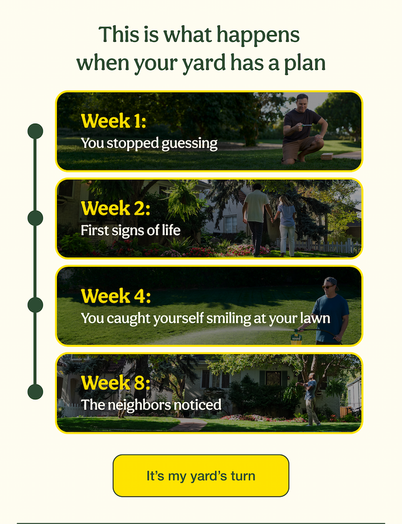 This is what happens when your yard has a plan | It’s my yard’s turn