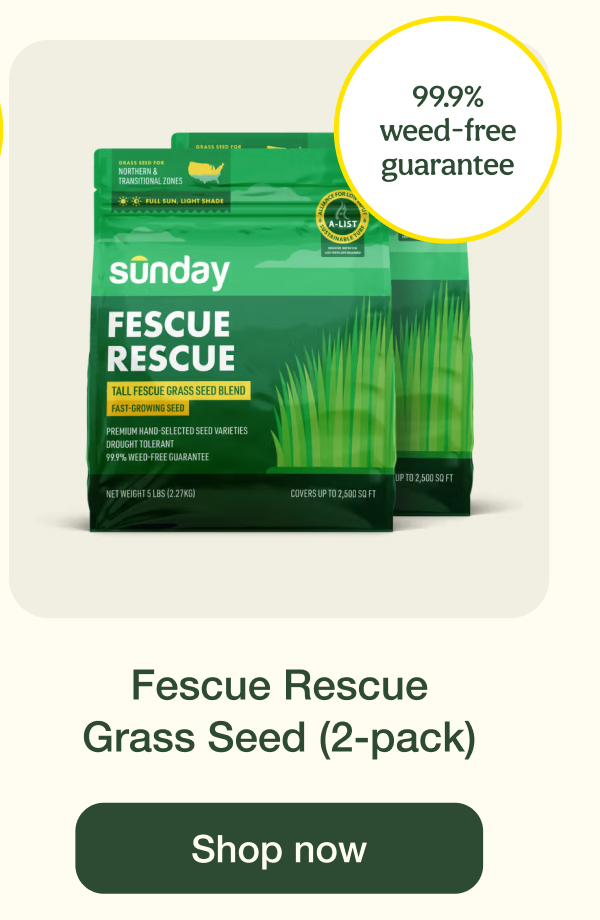 Fescue Rescue Grass Seed (2-pack) | Shop now