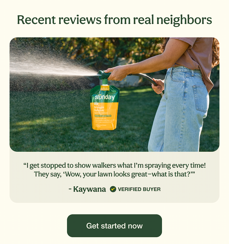 Recent reviews from real neighbors | Get started now