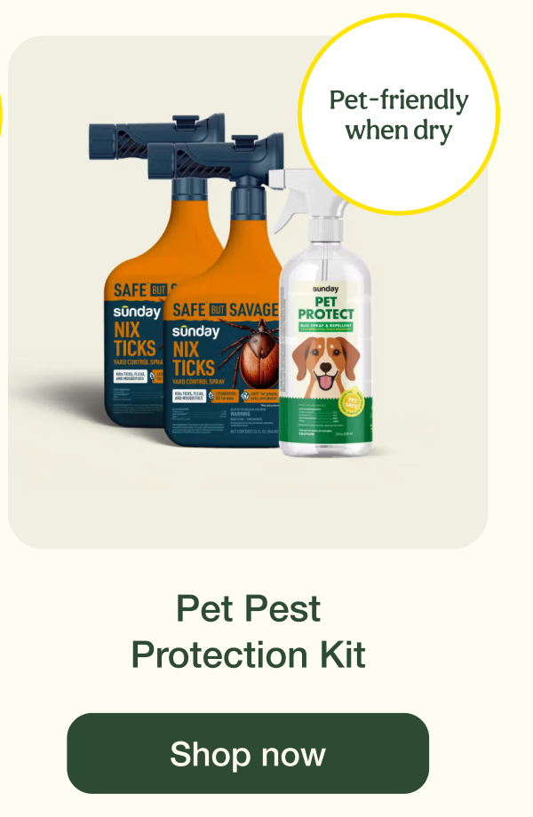 Pet Pest Protection Kit | Shop now