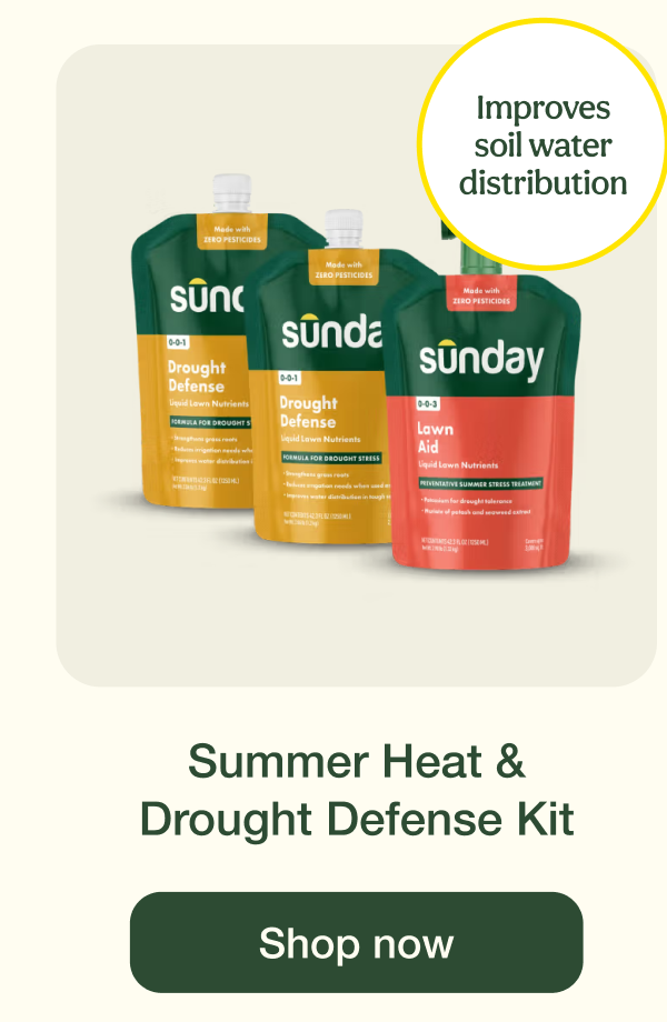 Summer Heat & Drought Defense Kit | Shop now