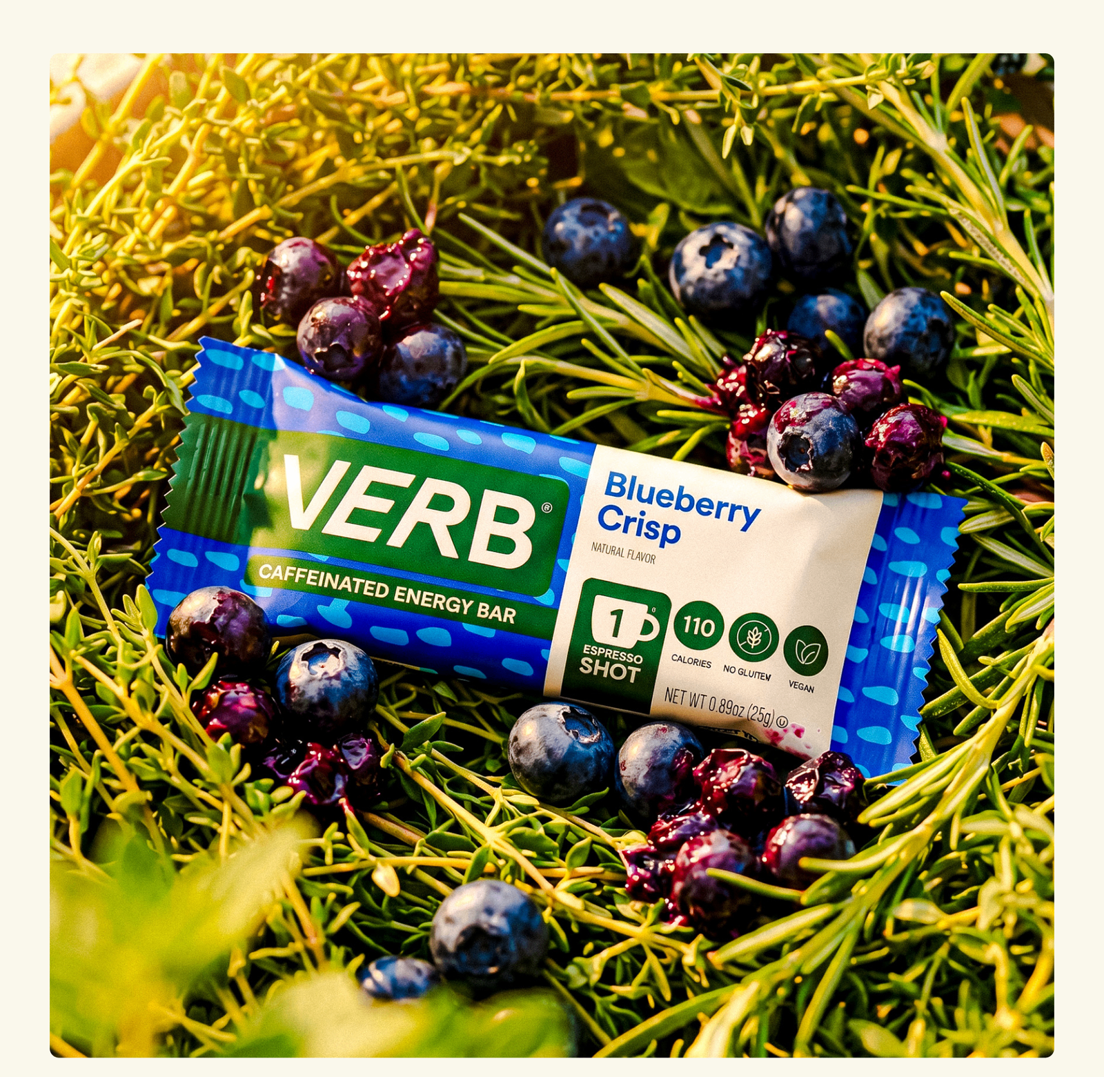 Blueberry Crisp 