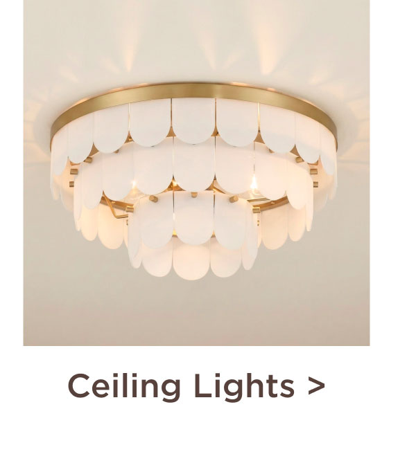 Ceiling Lights >