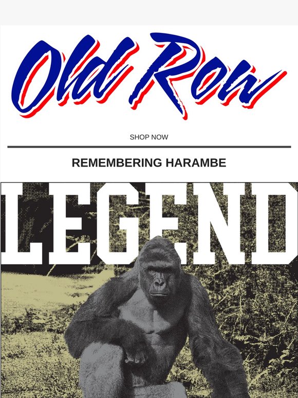 Remember Harambe 🦍