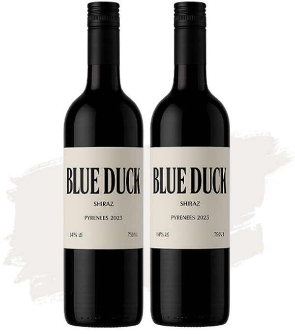 Image of Bundle Buy (10x Blue Duck Shiraz - 12 Pack - Labelled)