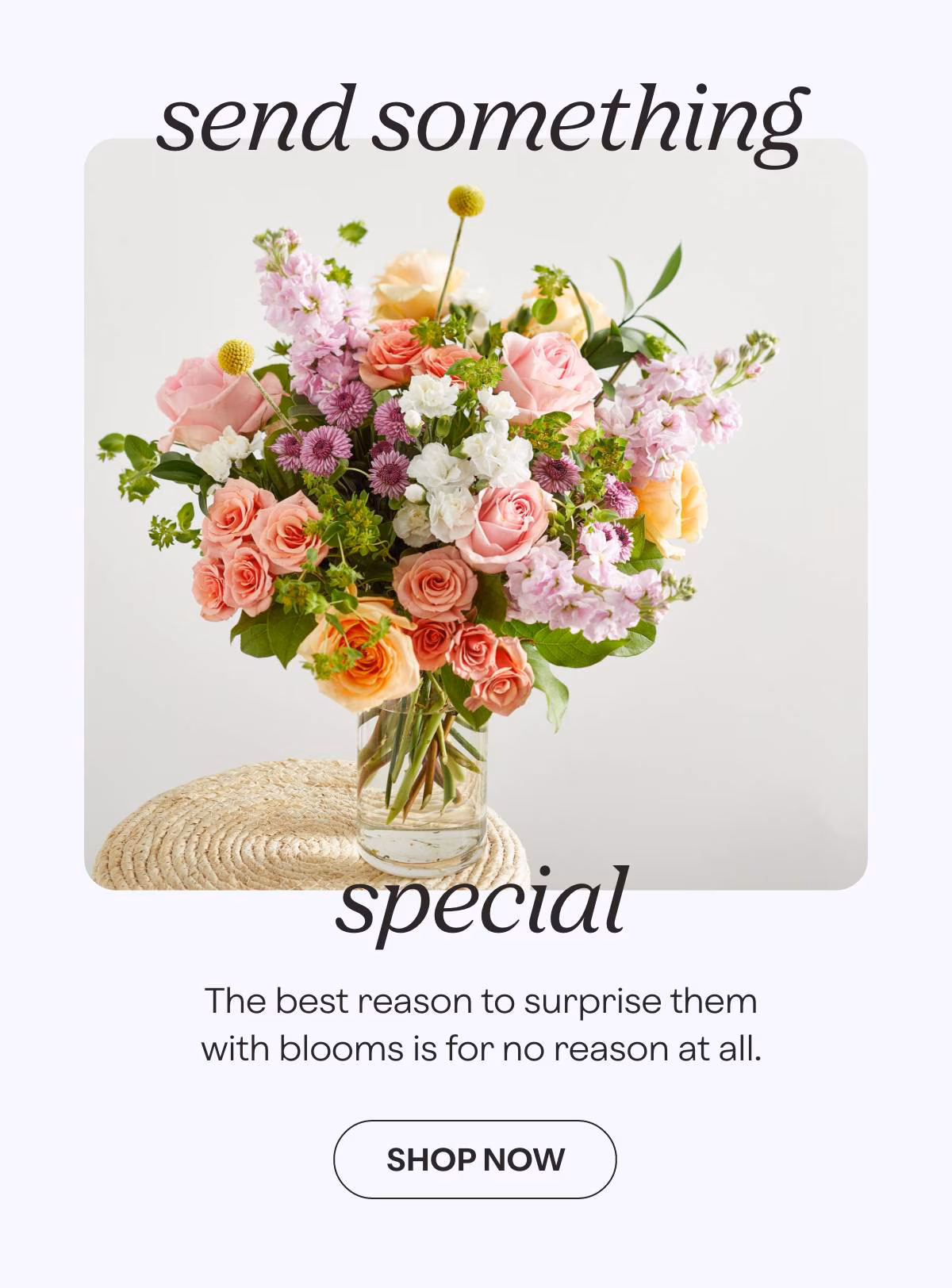 send something special - The best reason to surprise them with blooms is for no reason at all. - SHOP NOW »