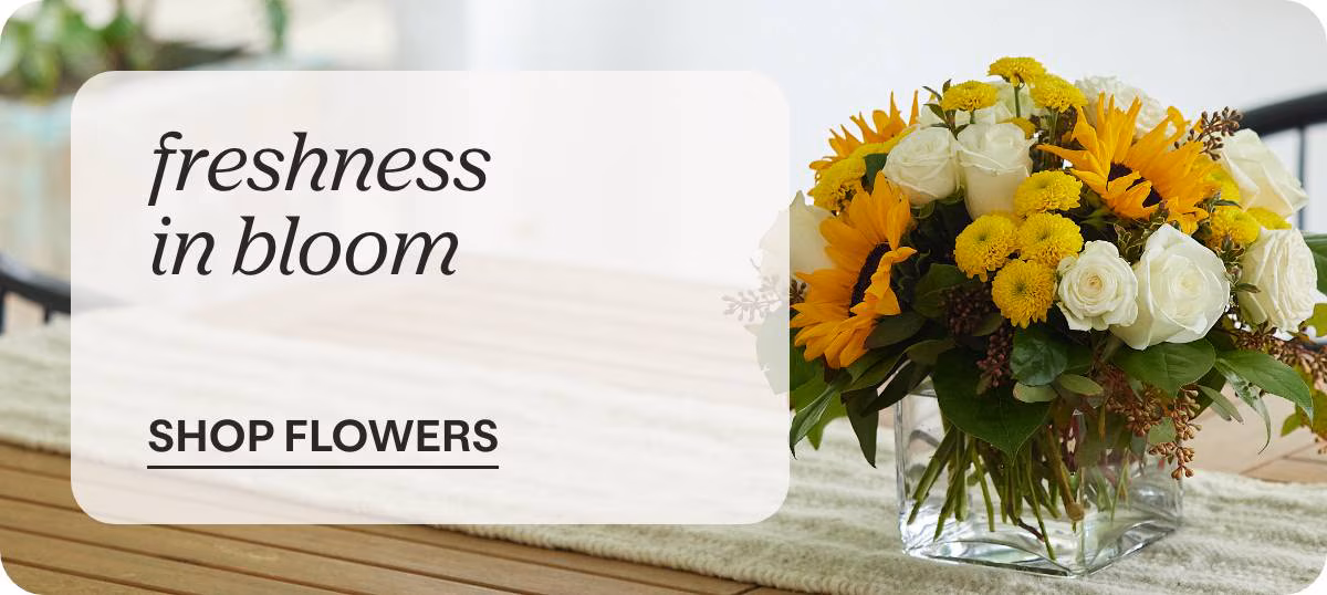 freshness in bloom - SHOP FLOWERS »