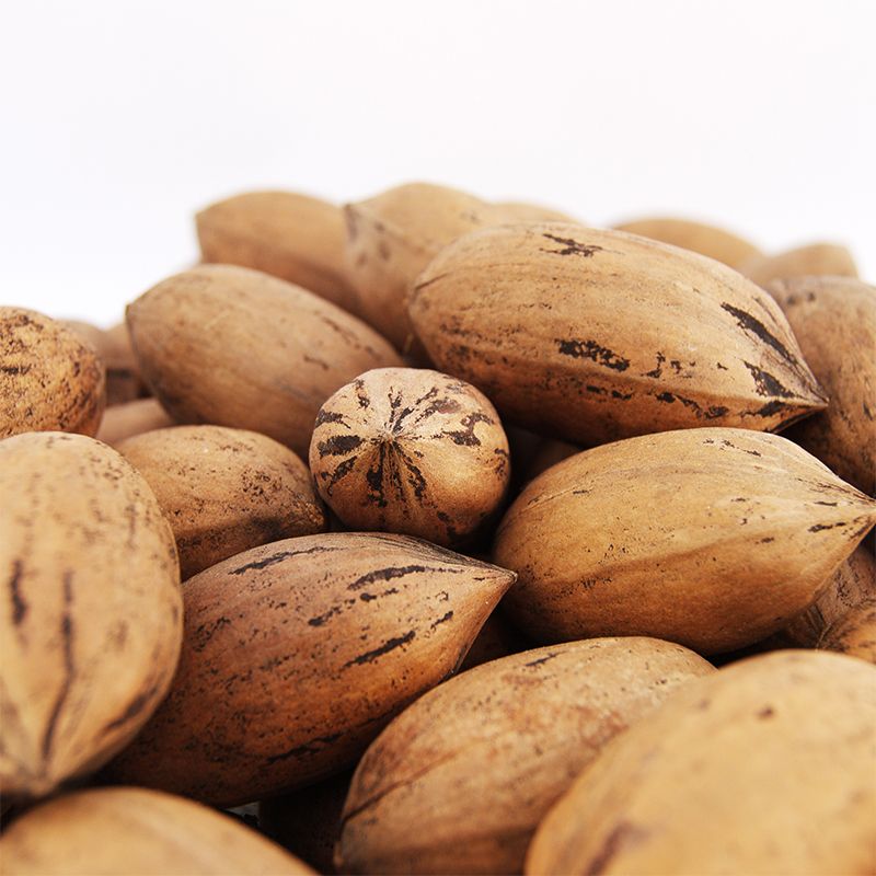 Image of Nut Trees