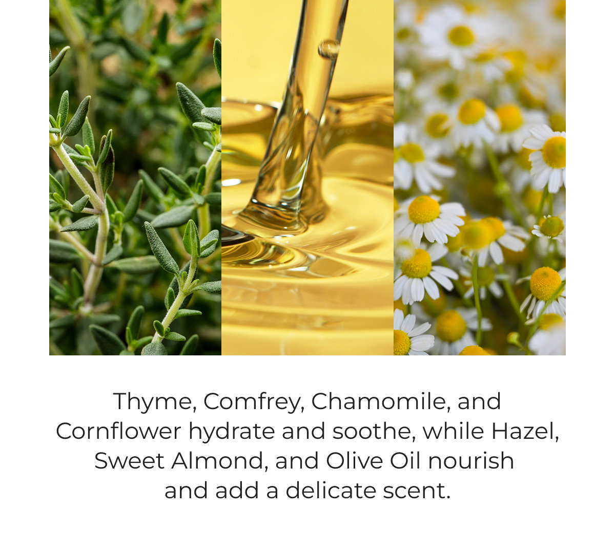 Thyme, Comfrey, Chamomile, and Cornflower hydrate and soothe, while Hazel, Sweet Almond, and Olive Oil nourish and add a delicate scent.