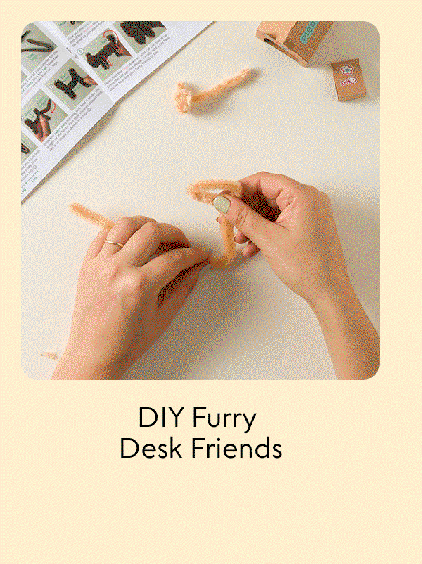 diy-furry-desk-friends