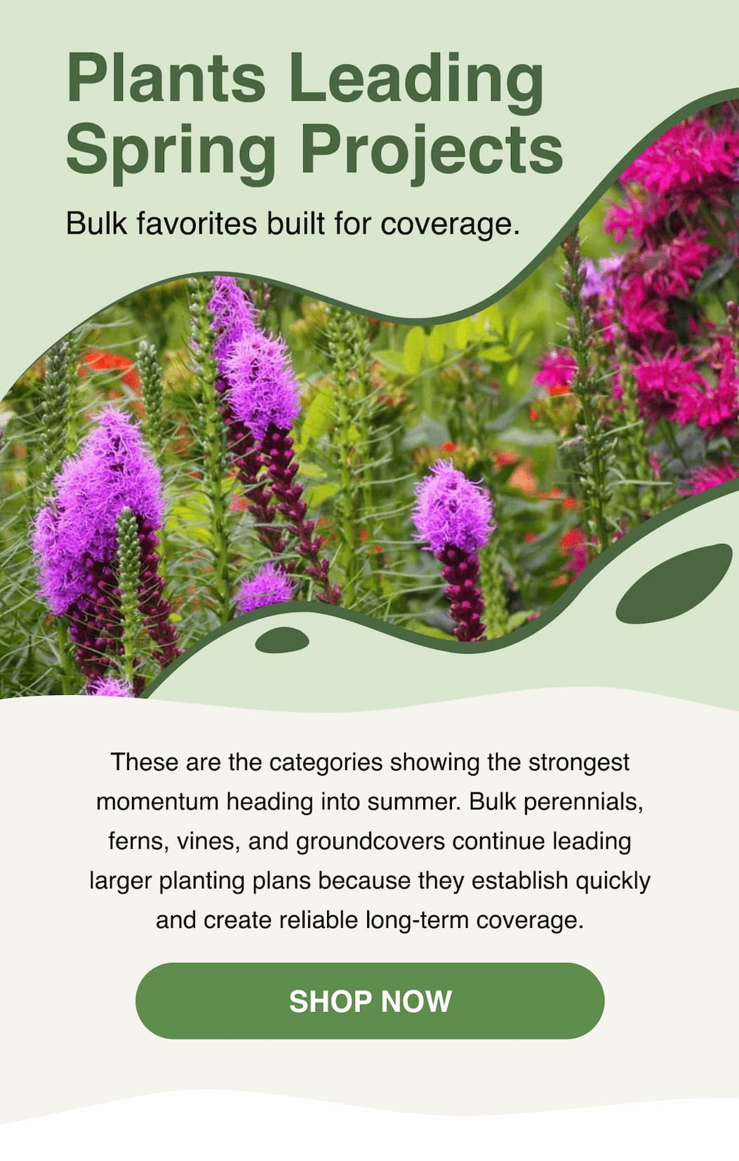 Plants leading spring projects