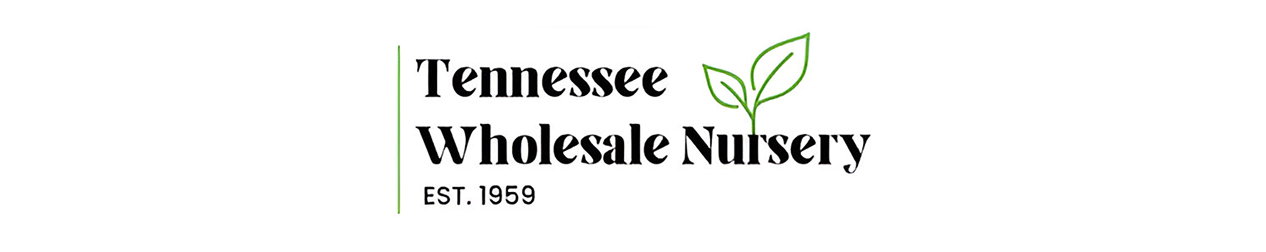 Tennessee Wholesale nursery