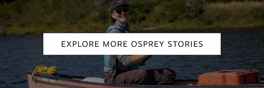 Explore More Osprey Stories