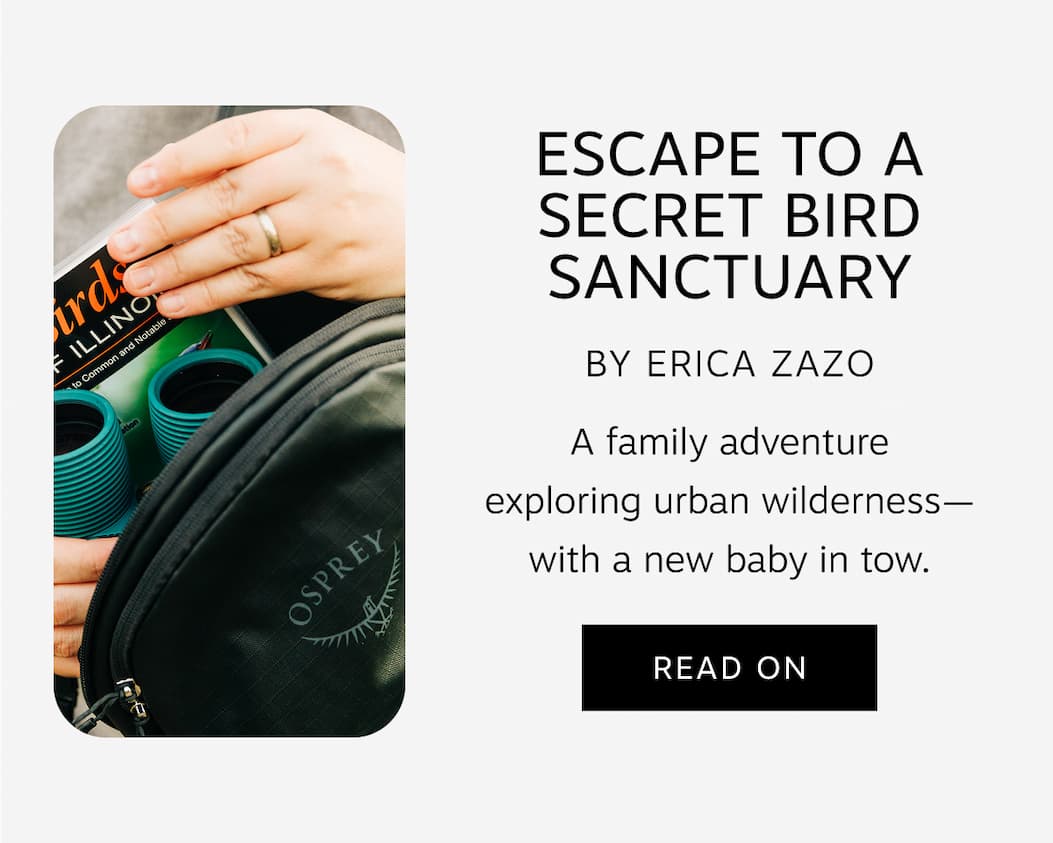Read Escape to a Secret Bird Sanctuary by Erica Zazo