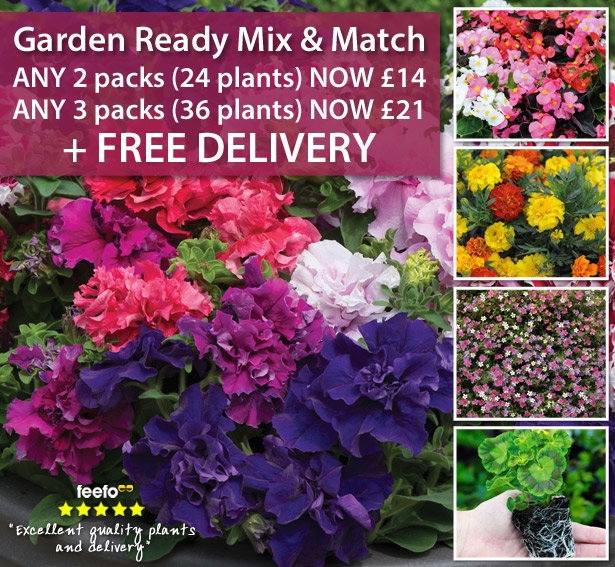Garden Ready Mix & Match