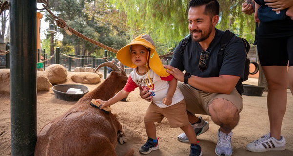 LA Zoo Admission - Explore Incredible Wildlife at the Los Angeles Zoo