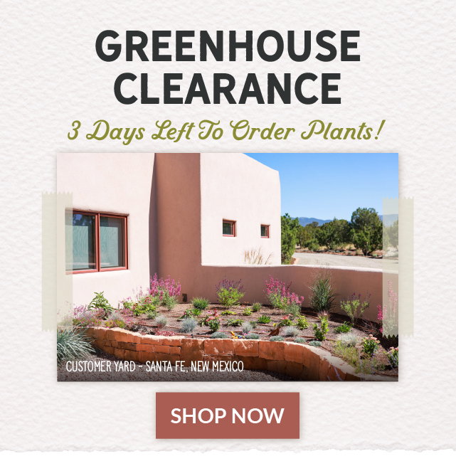 Final weekend to order plants for spring delivery