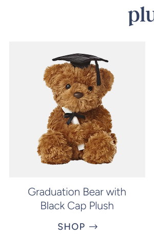 graduation bear with black cap plush