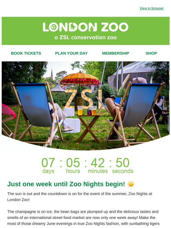 Zoo Nights start in one week - don't miss out ☀️