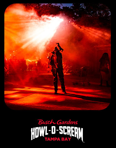 Book Busch Gardens Tampa Bay Howl-O-Scream tickets now!