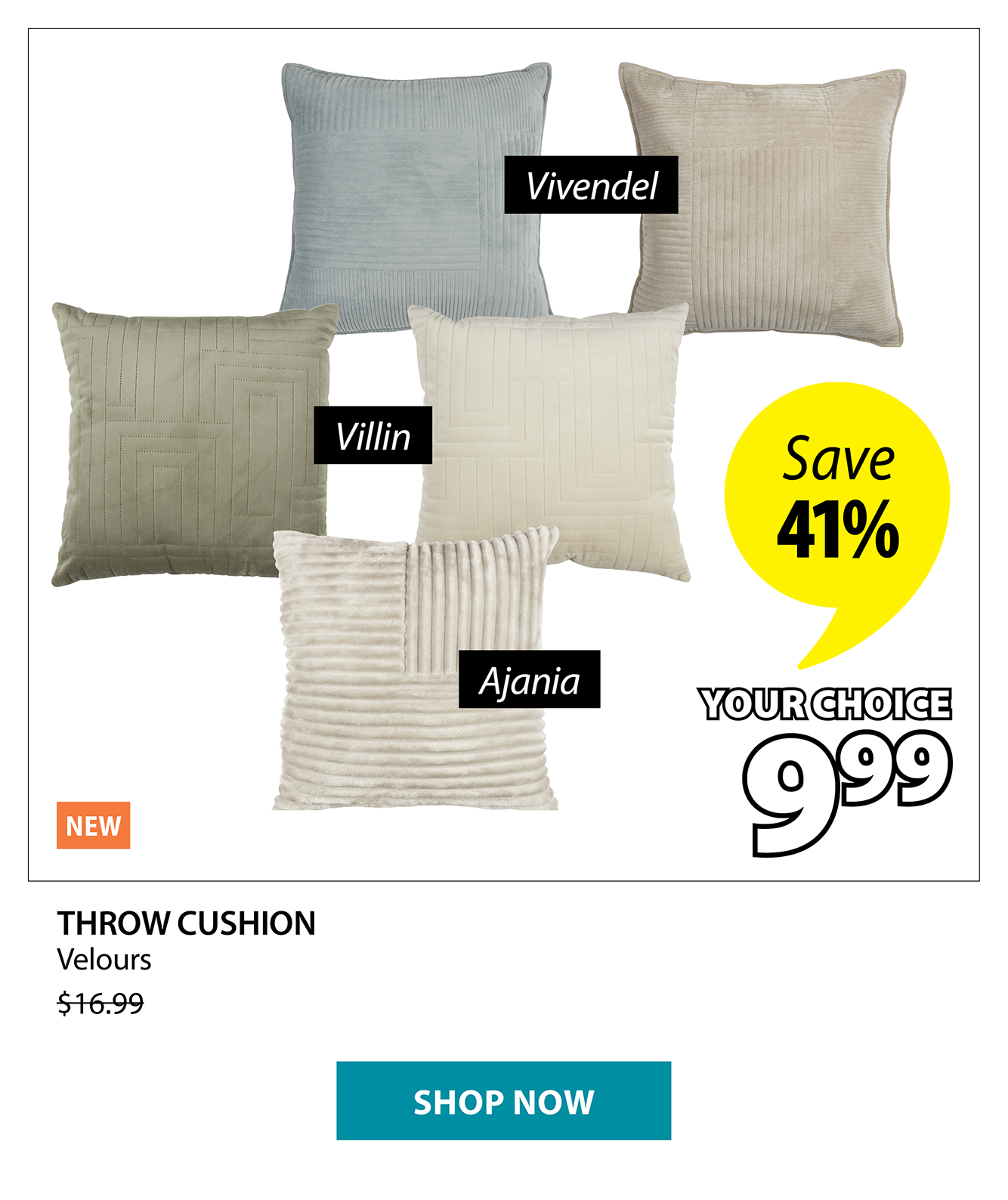 THROW CUSHION | Save 41%