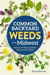 Common Backyard Weeds of the Midwest, by Teresa Marrone