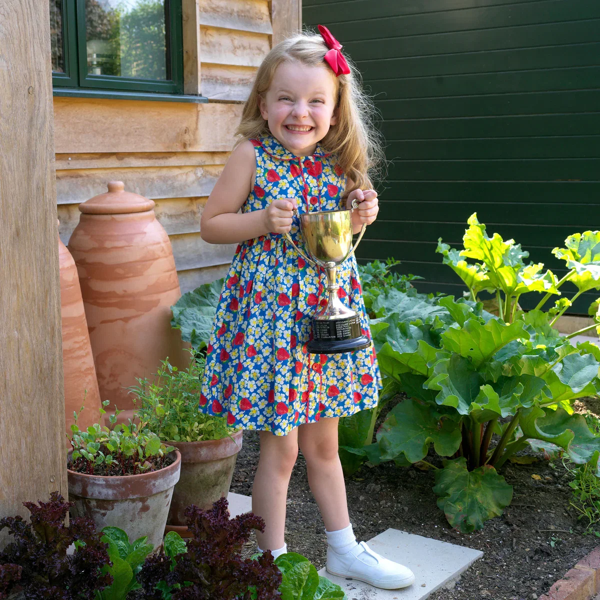 Strawberry Blossom Dress