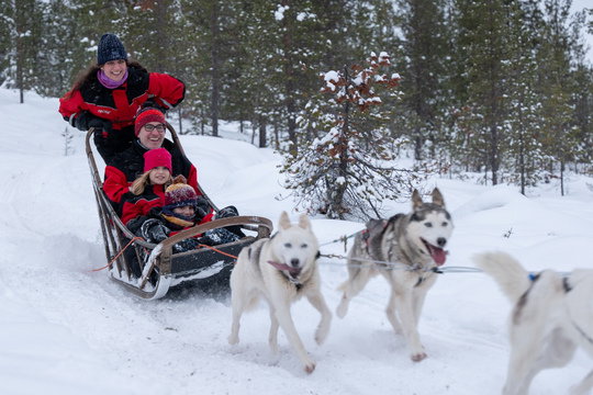 Santa's Magic: Departing 1 December 2026