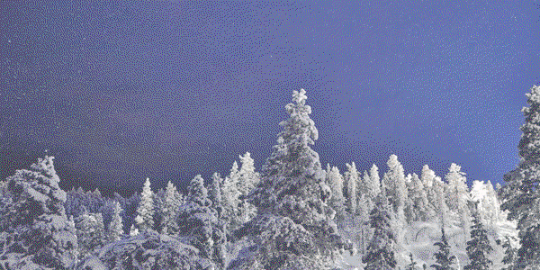 An Unforgettable Lapland Experience