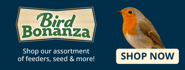 Bird Bonanza