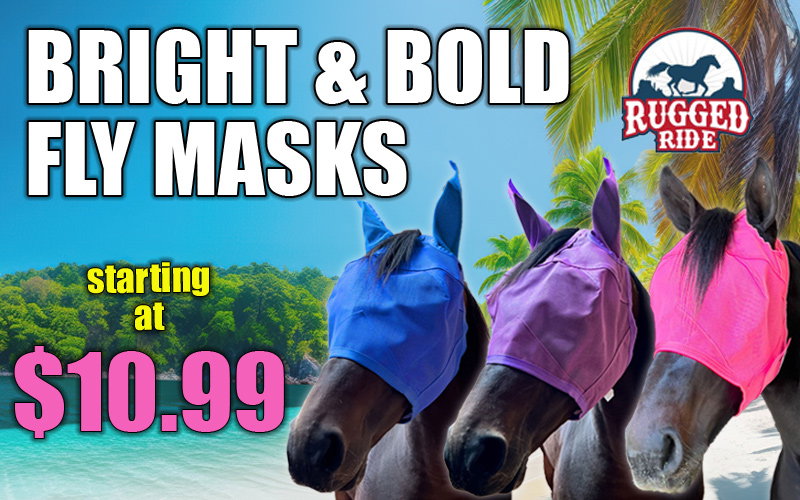 Bright and Bold Fly Masks are Back in Stock!