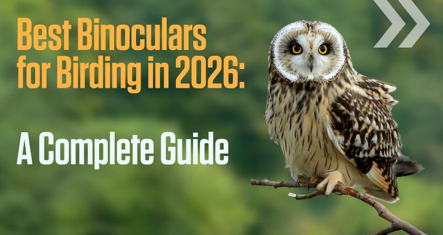 Best Binoculars for Birding in 2026: A Complete Guide