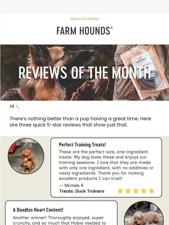 3 Must-Try Products for Happy Dogs!