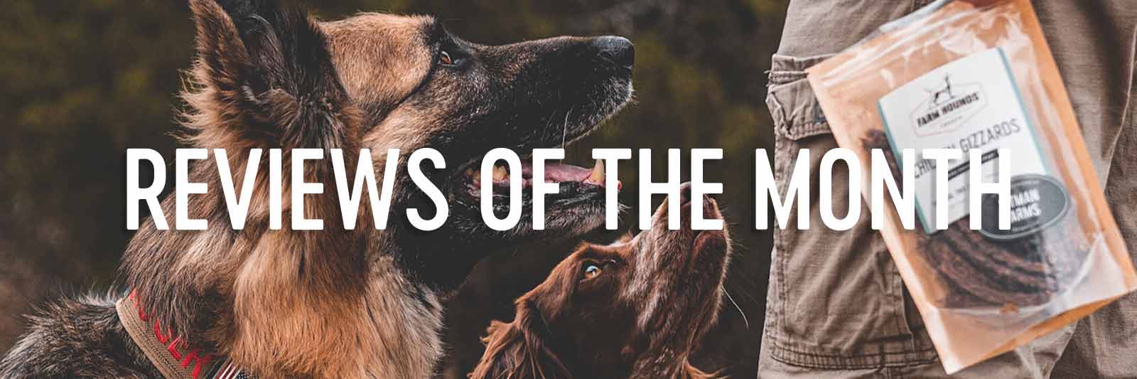 Reviews of the Month