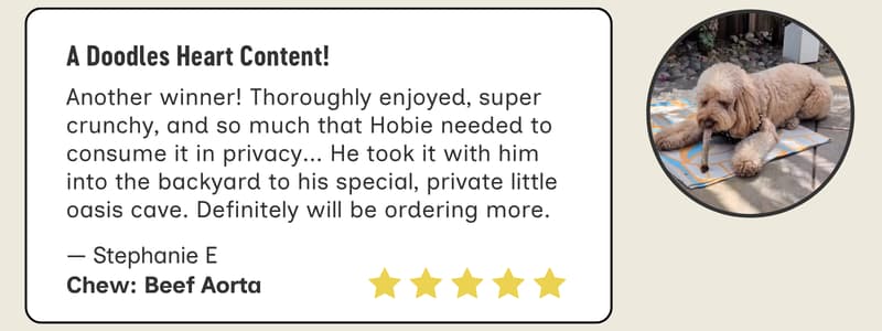 Beef Aorta Customer Review