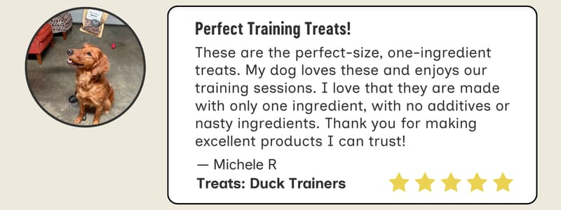 Duck Trainer Customer Review