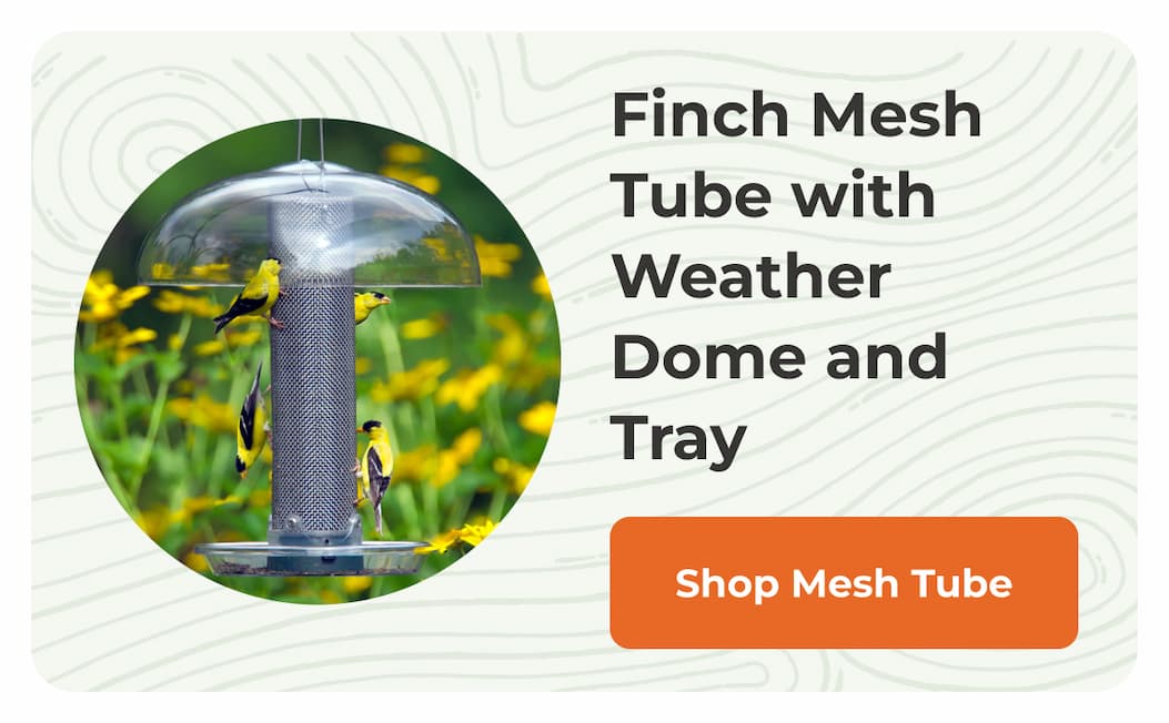 Finch Mesh Tube with Weather Dome and Tray