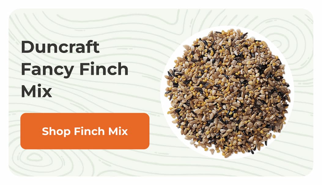 Duncraft Fancy Finch Mix