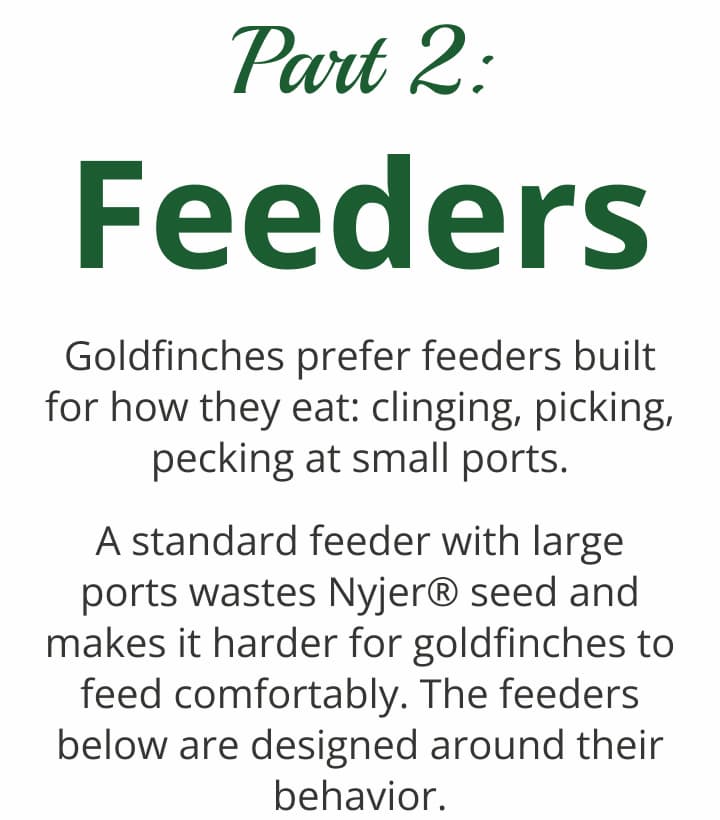 Part 2: Feeders