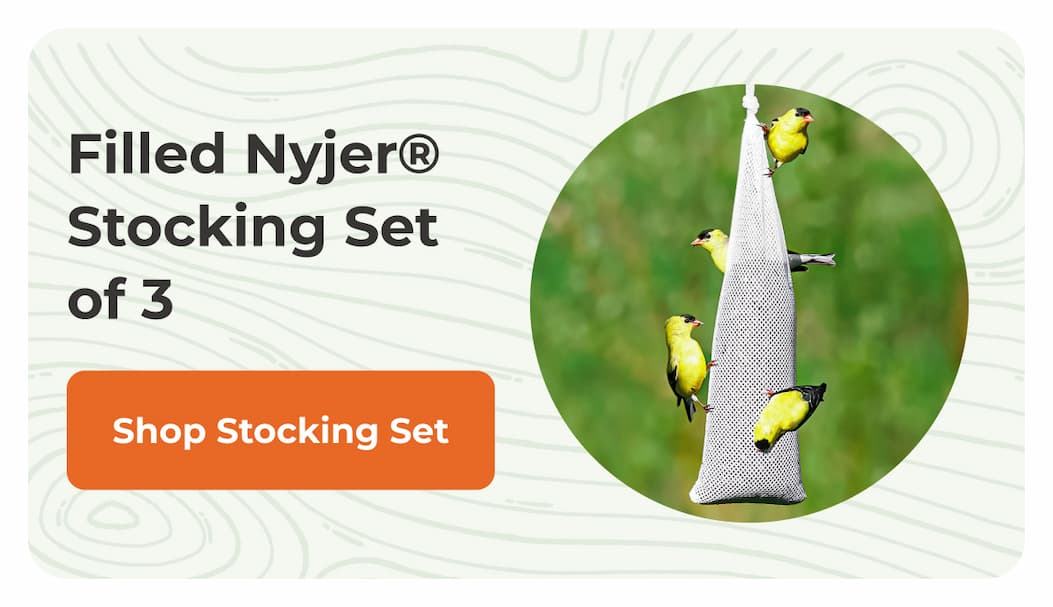 Filled Nyjer® Stocking Set of 3