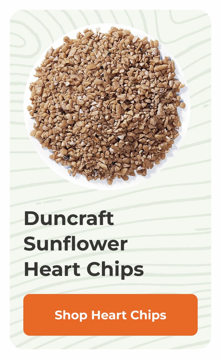 Duncraft Sunflower Heart Chips