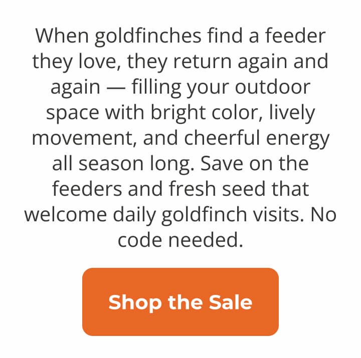 Goldfinches have a preferred seed