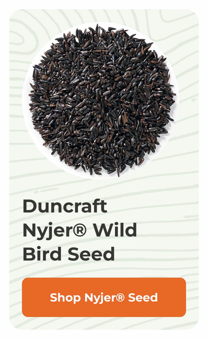 Duncraft Nyjer® Wild Bird Seed